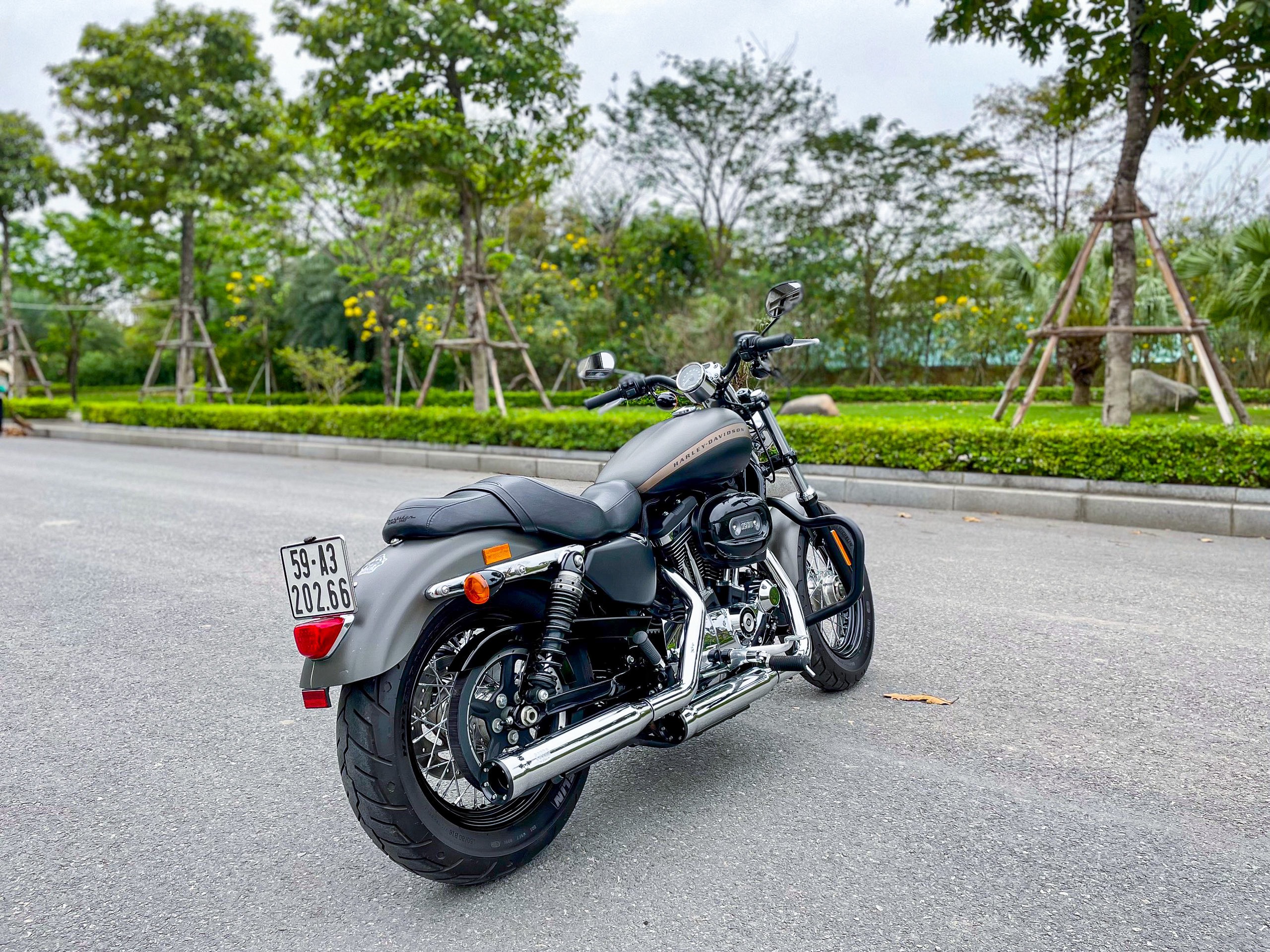 Harley Davidson Custom1200 2019